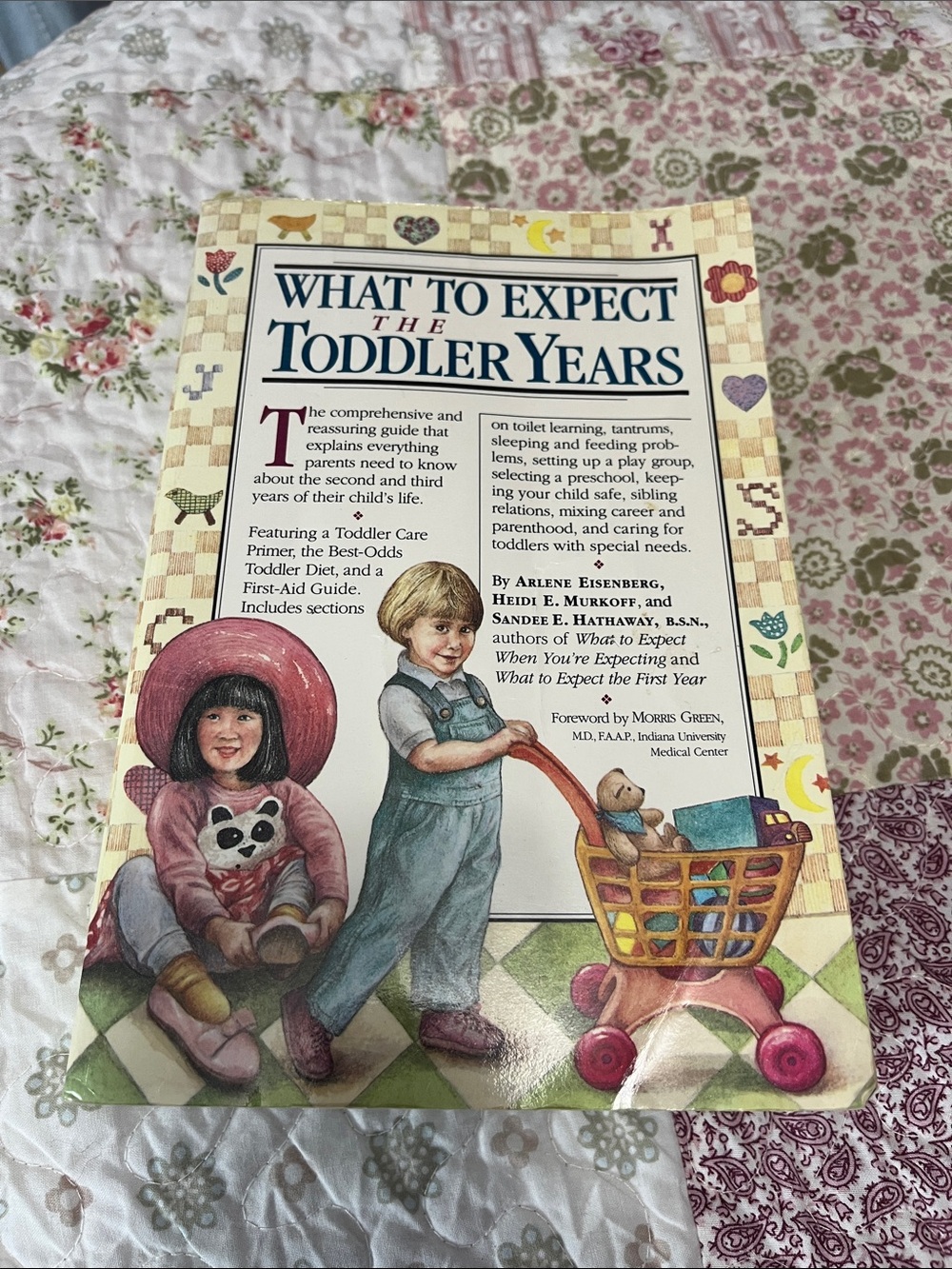 What to expect the Toddler Years